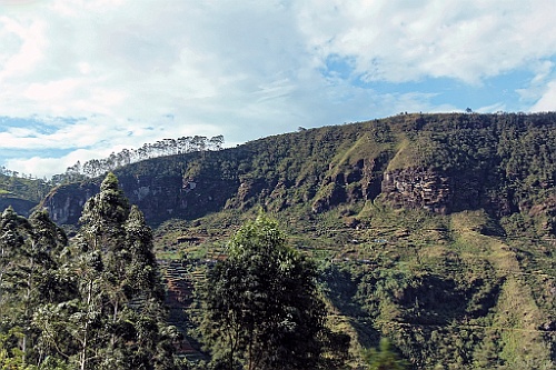 SriLan (870)